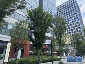 豊洲セイルパークの広場とSAIL PARKサイン