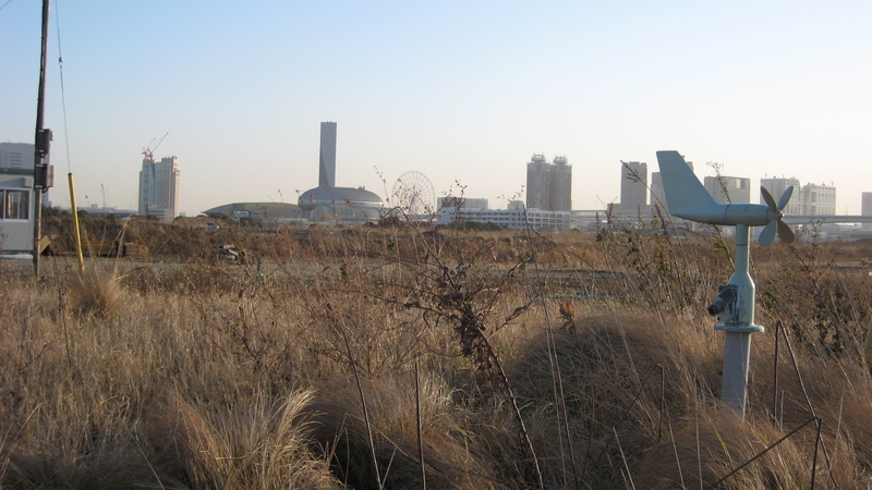 枯れ草の空き地の向こうに建設中のクレーンと有明のビル群が見える2007年の新豊洲